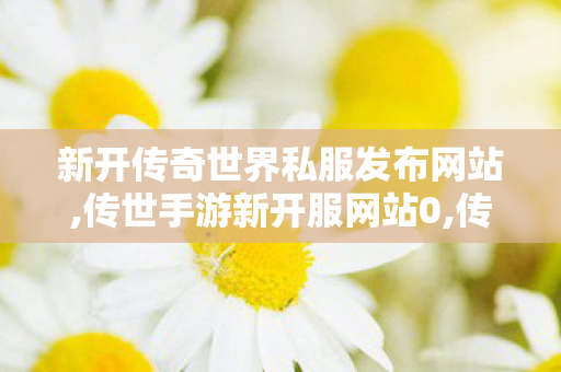 新开传奇世界私服发布网站,传世手游新开服网站0,传世sf,传世手游新开服网站0