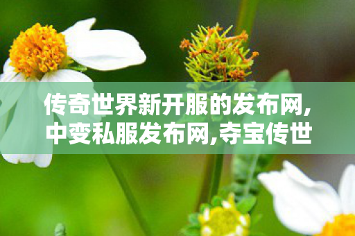 传奇世界新开服的发布网,中变私服发布网,夺宝传世私服发布网,中变私服发布网