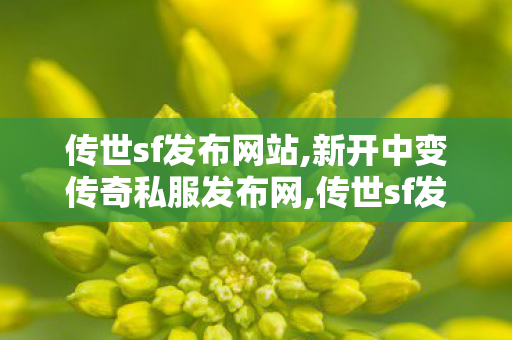 传世sf发布网站,新开中变传奇私服发布网,传世sf发布网站,新开中变传奇私服发布网