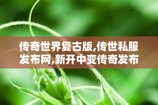 传奇世界复古版,传世私服发布网,新开中变传奇发布网,传世私服发布网