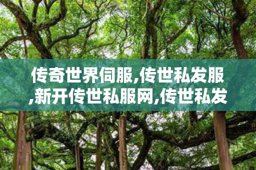 传奇世界伺服,传世私发服,新开传世私服网,传世私发服