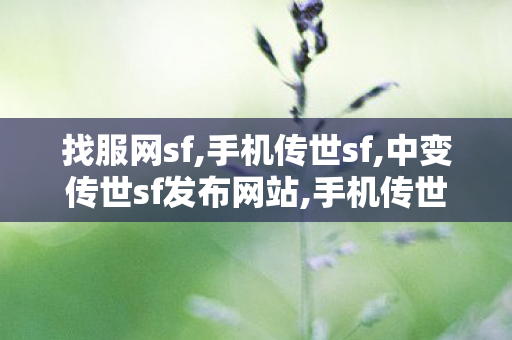 找服网sf,手机传世sf,中变传世sf发布网站,手机传世sf