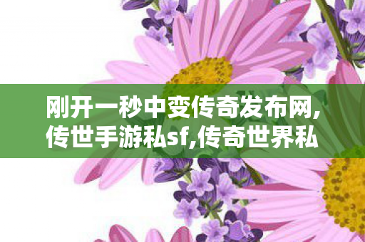 刚开一秒中变传奇发布网,传世手游私sf,传奇世界私服,传世私服,传世手游私sf