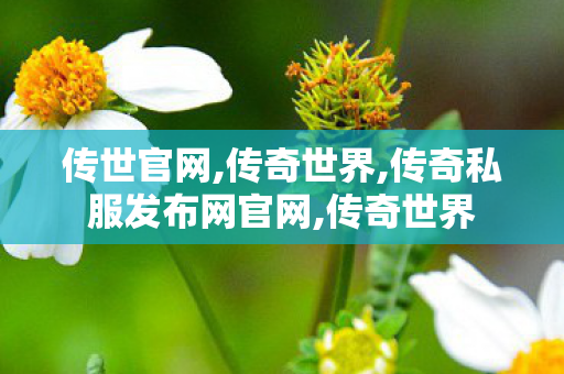 传世官网,传奇世界,传奇私服发布网官网,传奇世界