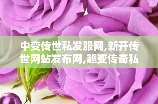 中变传世私发服网,新开传世网站发布网,超变传奇私发服网,新开传世网站发布网