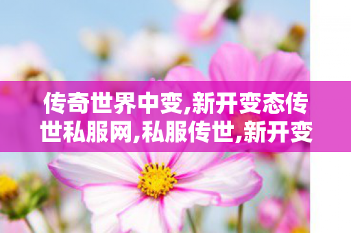 传奇世界中变,新开变态传世私服网,私服传世,新开变态传世私服网