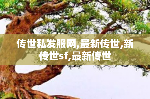 传世私发服网,最新传世,新传世sf,最新传世