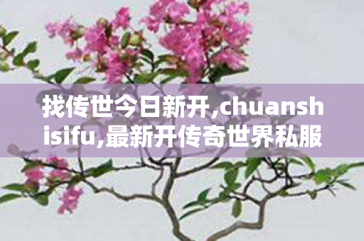 找传世今日新开,chuanshisifu,最新开传奇世界私服,chuanshisifu