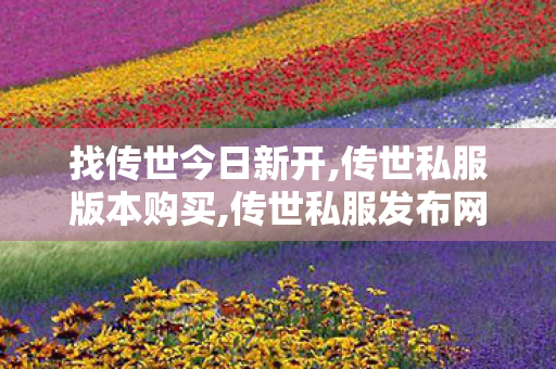 找传世今日新开,传世私服版本购买,传世私服发布网刚开一秒,传世私服版本购买