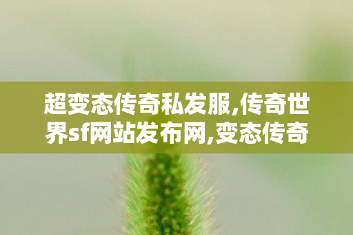 超变态传奇私发服,传奇世界sf网站发布网,变态传奇私发服网sf,传奇世界sf网站发布网