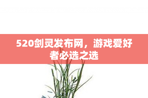520剑灵发布网，游戏爱好者必选之选