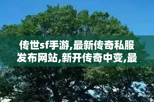 传世sf手游,最新传奇私服发布网站,新开传奇中变,最新传奇私服发布网站