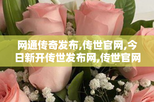 网通传奇发布,传世官网,今日新开传世发布网,传世官网
