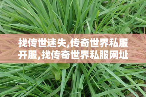 找传世迷失,传奇世界私服开服,找传奇世界私服网址,传奇世界私服开服