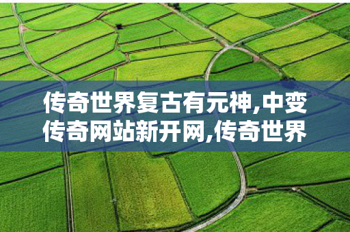 传奇世界复古有元神,中变传奇网站新开网,传奇世界复古版本攻略,中变传奇网站新开网