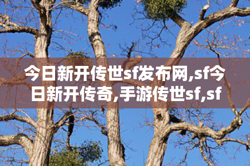 今日新开传世sf发布网,sf今日新开传奇,手游传世sf,sf今日新开传奇