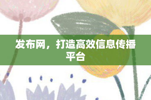 发布网，打造高效信息传播平台