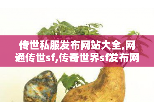 传世私服发布网站大全,网通传世sf,传奇世界sf发布网0,网通传世sf