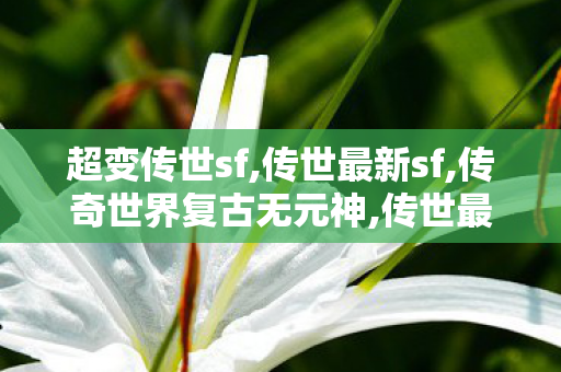 超变传世sf,传世最新sf,传奇世界复古无元神,传世最新sf