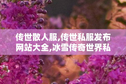 传世散人服,传世私服发布网站大全,冰雪传奇世界私服,传世私服发布网站大全
