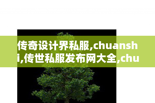 传奇设计界私服,chuanshi,传世私服发布网大全,chuanshi