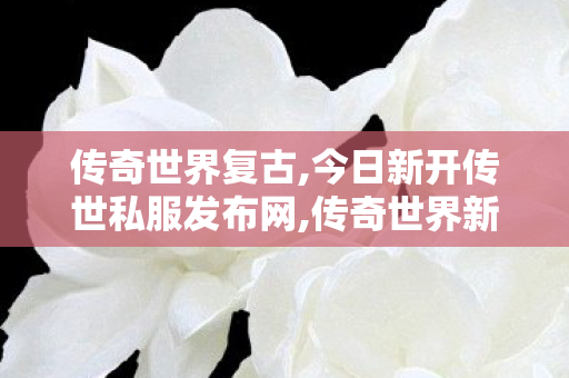 传奇世界复古,今日新开传世私服发布网,传奇世界新开私服,今日新开传世私服发布网