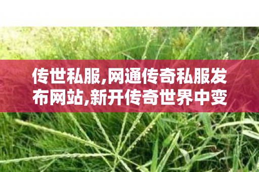 传世私服,网通传奇私服发布网站,新开传奇世界中变,网通传奇私服发布网站