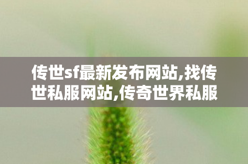 传世sf最新发布网站,找传世私服网站,传奇世界私服网站发布网,找传世私服网站