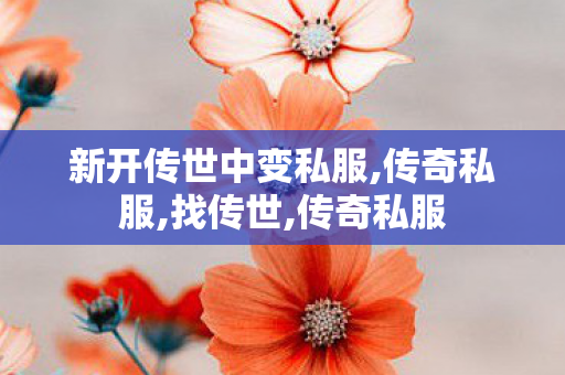 新开传世中变私服,传奇私服,找传世,传奇私服