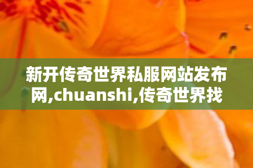 新开传奇世界私服网站发布网,chuanshi,传奇世界找服网站,chuanshi