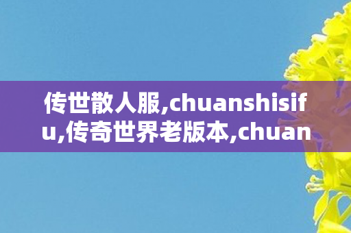 传世散人服,chuanshisifu,传奇世界老版本,chuanshisifu