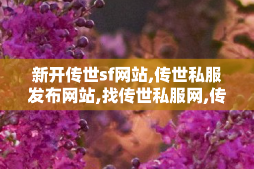 新开传世sf网站,传世私服发布网站,找传世私服网,传世私服发布网站