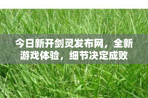 今日新开剑灵发布网，全新游戏体验，细节决定成败