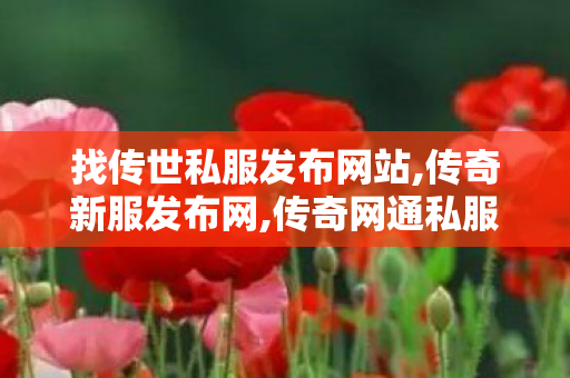 找传世私服发布网站,传奇新服发布网,传奇网通私服发布网,传奇新服发布网