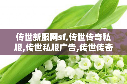 传世新服网sf,传世传奇私服,传世私服广告,传世传奇私服