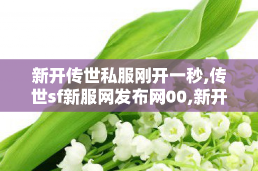 新开传世私服刚开一秒,传世sf新服网发布网00,新开传奇世界网站中变,传世sf新服网发布网00
