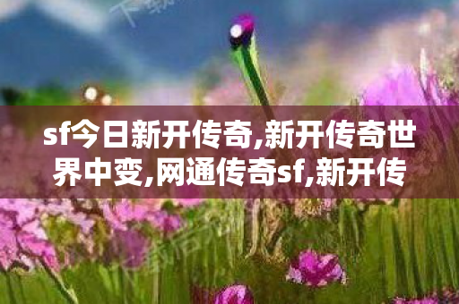 sf今日新开传奇,新开传奇世界中变,网通传奇sf,新开传奇世界中变