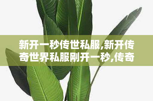 新开一秒传世私服,新开传奇世界私服刚开一秒,传奇世界sf发布网0,新开传奇世界私服刚开一秒