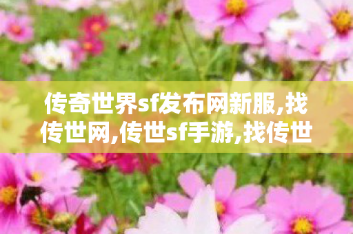 传奇世界sf发布网新服,找传世网,传世sf手游,找传世网