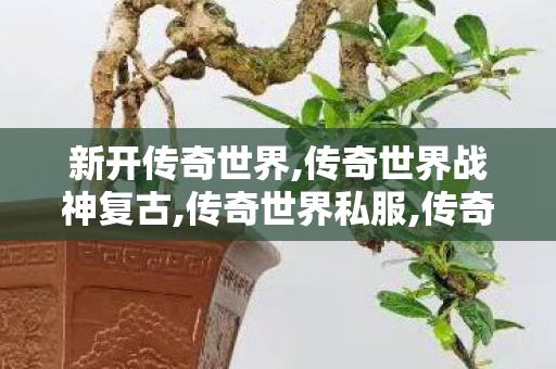 新开传奇世界,传奇世界战神复古,传奇世界私服,传奇世界sf发布网,传奇世界战神复古