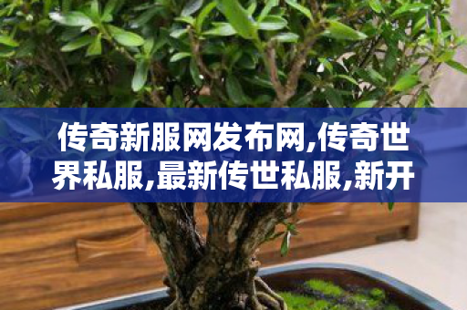 传奇新服网发布网,传奇世界私服,最新传世私服,新开传奇世界私服网站,传奇世界私服,最新传世私服