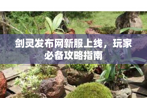 剑灵发布网新服上线，玩家必备攻略指南