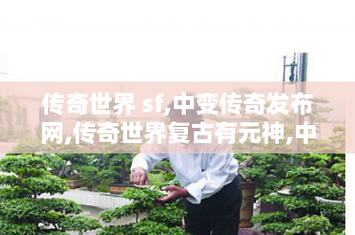 传奇世界 sf,中变传奇发布网,传奇世界复古有元神,中变传奇发布网
