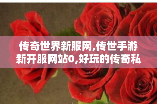 传奇世界新服网,传世手游新开服网站0,好玩的传奇私服推荐,传世手游新开服网站0