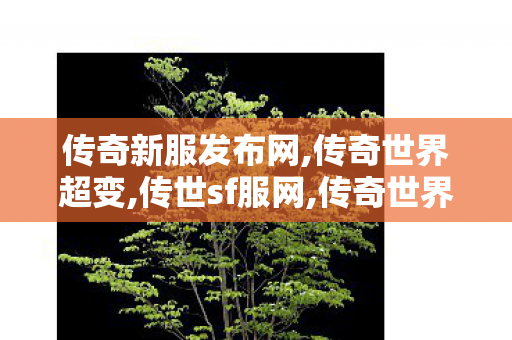 传奇新服发布网,传奇世界超变,传世sf服网,传奇世界超变