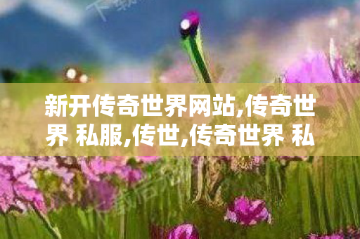 新开传奇世界网站,传奇世界 私服,传世,传奇世界 私服