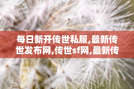 每日新开传世私服,最新传世发布网,传世sf网,最新传世发布网