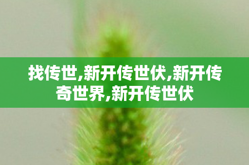 找传世,新开传世伏,新开传奇世界,新开传世伏