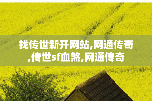 找传世新开网站,网通传奇,传世sf血煞,网通传奇