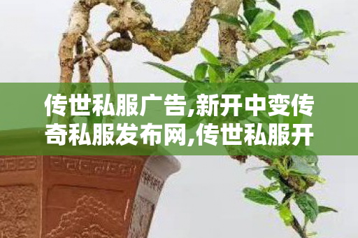 传世私服广告,新开中变传奇私服发布网,传世私服开服教程,新开中变传奇私服发布网